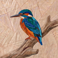 Kingfisher, 14" FPP Quilt Block
