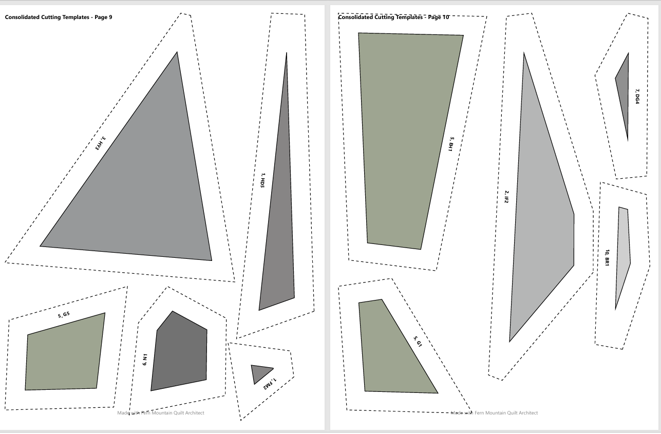 Jimothy The Raccoon Quilt Pattern, 60" x 60" FPP Pattern (Digital Download)
