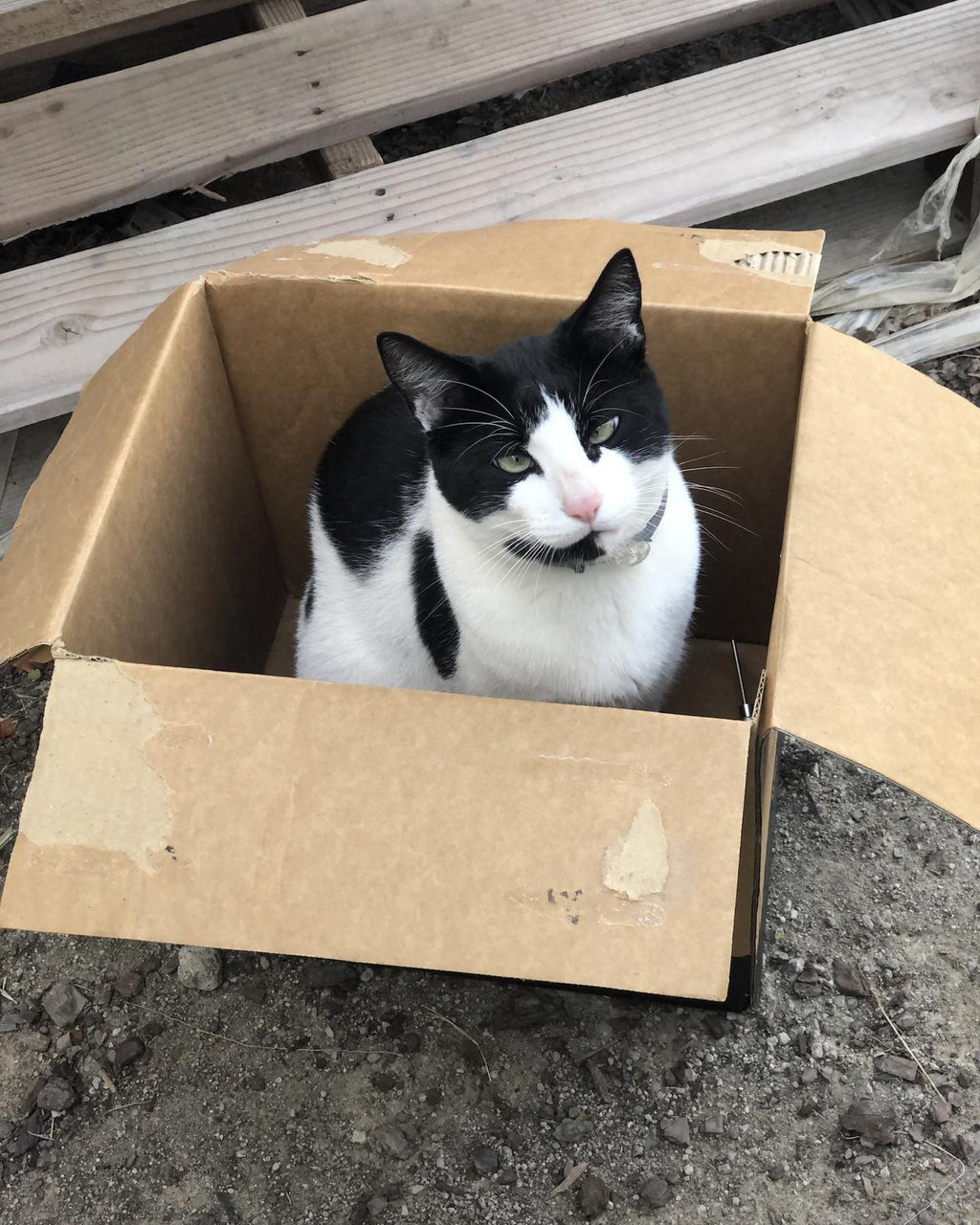 If Larry Fits, Larry Sits-72"x90" FPP Quilt Pattern