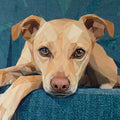 Gus, 60" x 60" FPP Digital Quilt Pattern