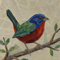 Painted Bunting 14" FPP Quilt Block