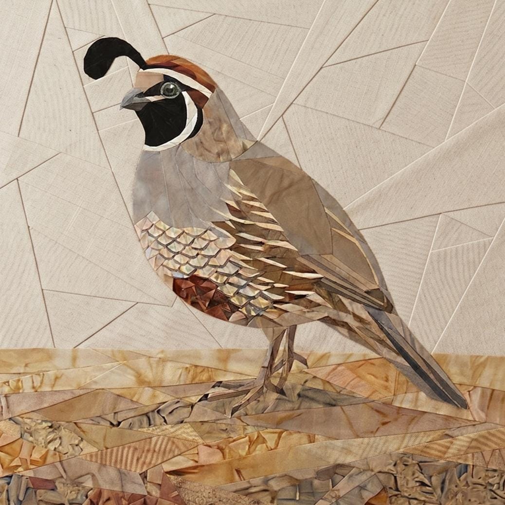 California Quail 14" FPP Quilt Block Pattern
