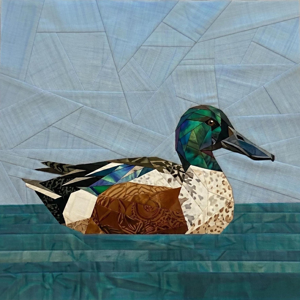 Northern Shoveler, 14" FPP Quilt Block Pattern