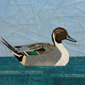 Pintail Duck 14" FPP Quilt Block Pattern
