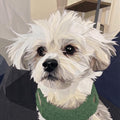 Snuffy and His Wild Hair, 60" x 60" FPP Quilt Pattern