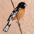 Black Headed Grosbeak 14" FPP Quilt Block Pattern