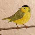 Wilson's Warbler, 14" FPP Quilt Block Pattern
