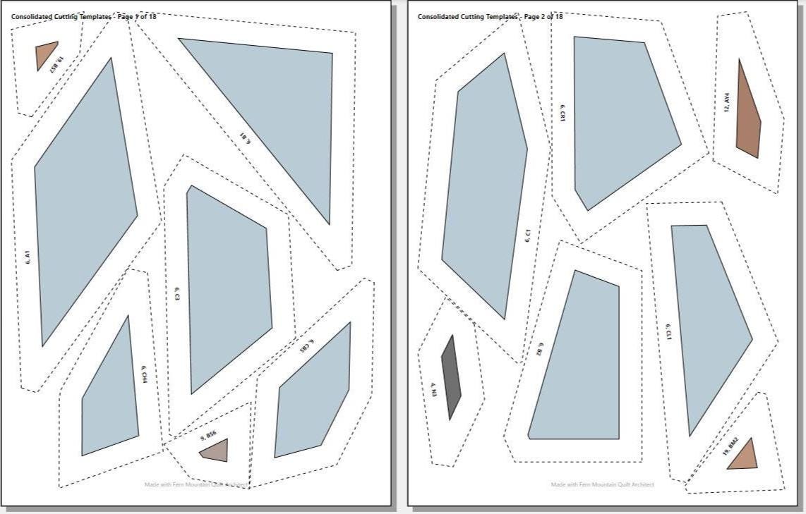 Black Bellied Whistling Duck 14" FPP Quilt Block Pattern