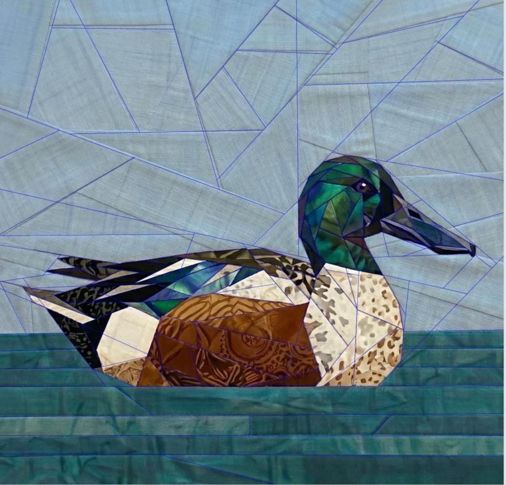 Northern Shoveler, 14" FPP Quilt Block Pattern