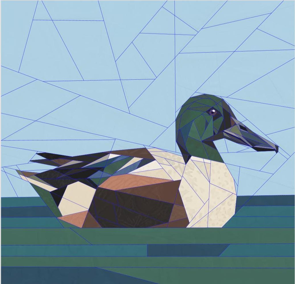 Northern Shoveler, 14" FPP Quilt Block Pattern