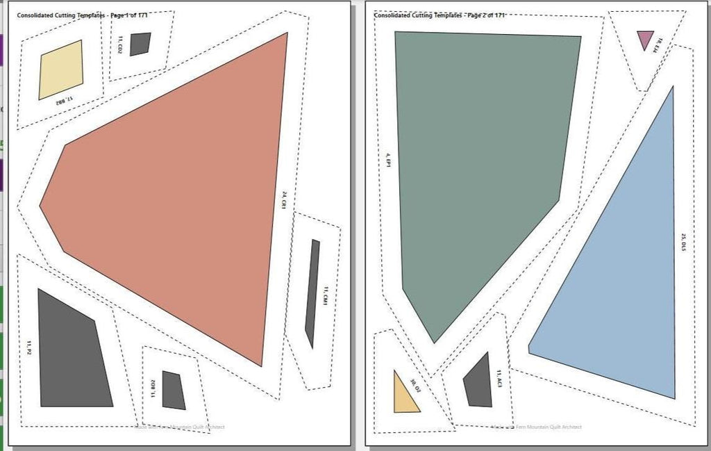 Coneflower, 72"x90" FPP Quilt Pattern