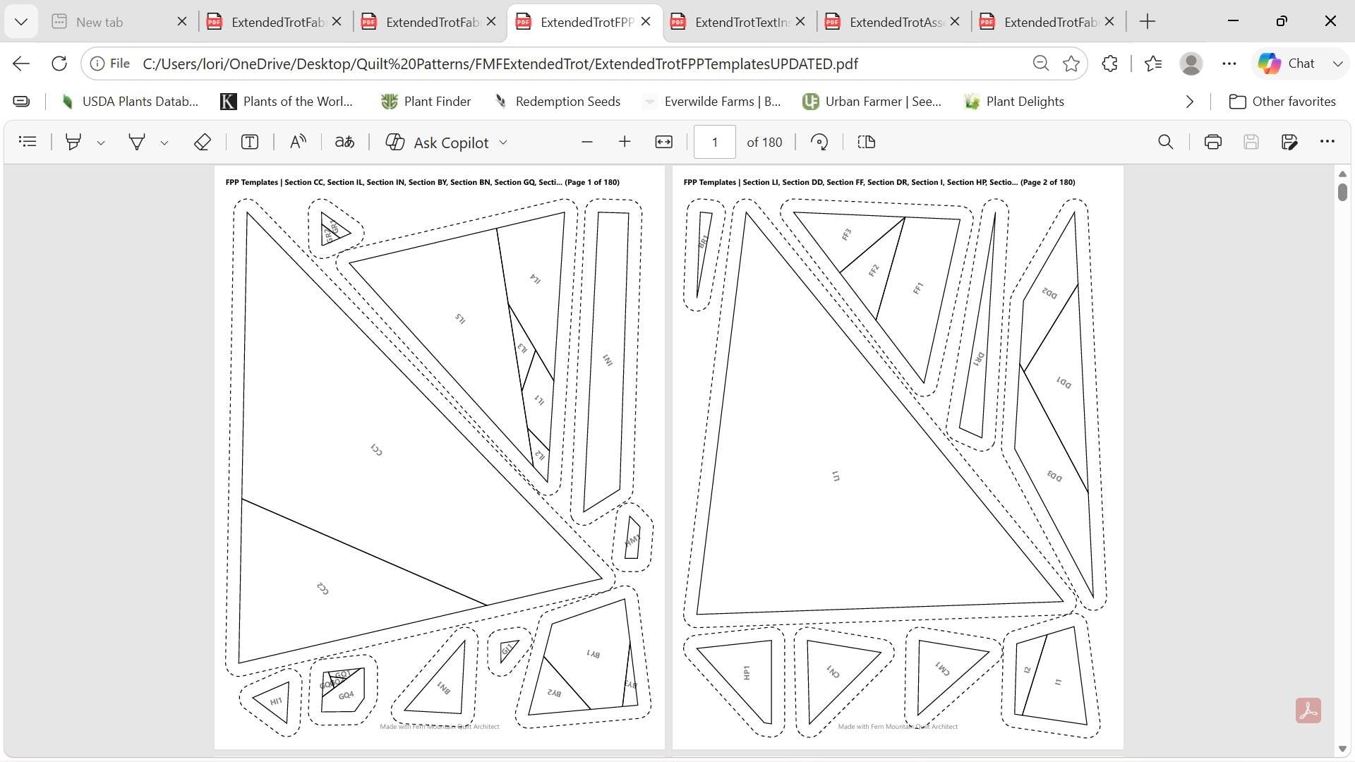 The Extended Trot 72" x 89" fpp quilt pattern