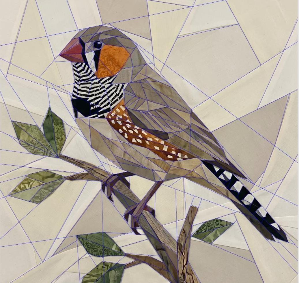 Zebra Finch 14" FPP Quilt Block