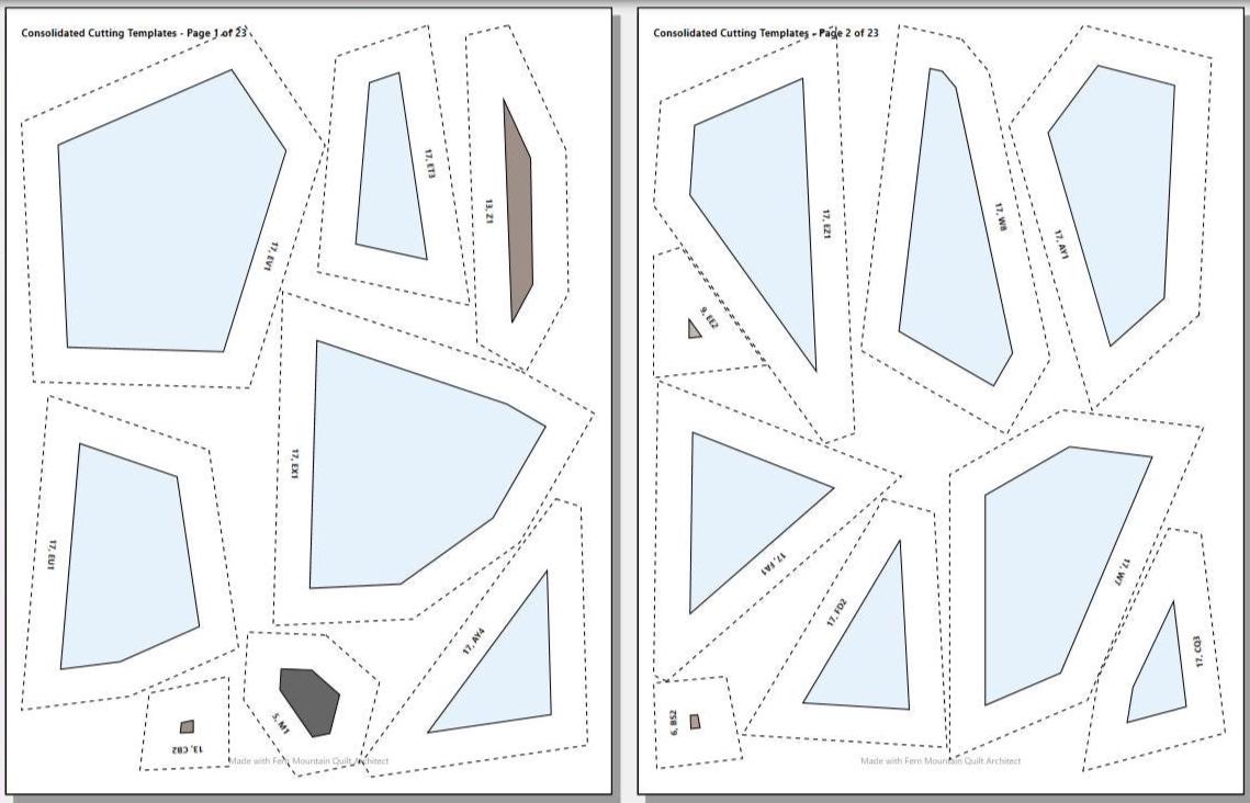 Zebra Finch 14" FPP Quilt Block