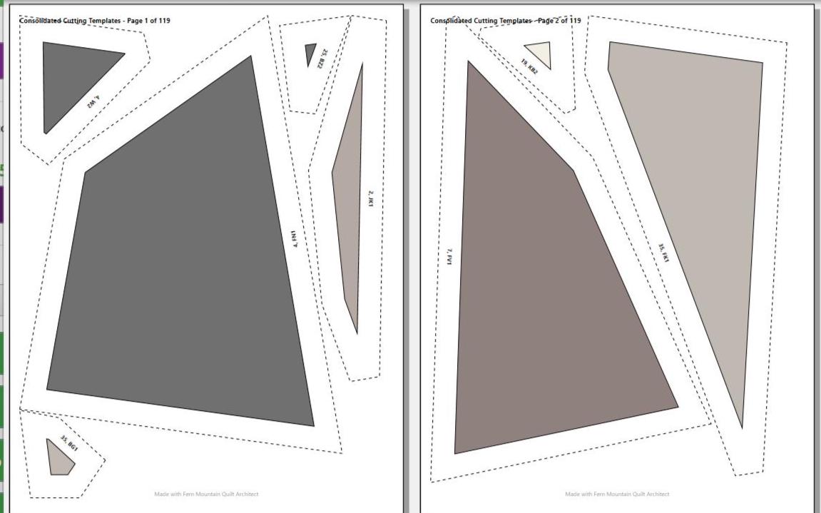 Bonkers the Tortoise Shell, 50" x 62" FPP Quilt Pattern