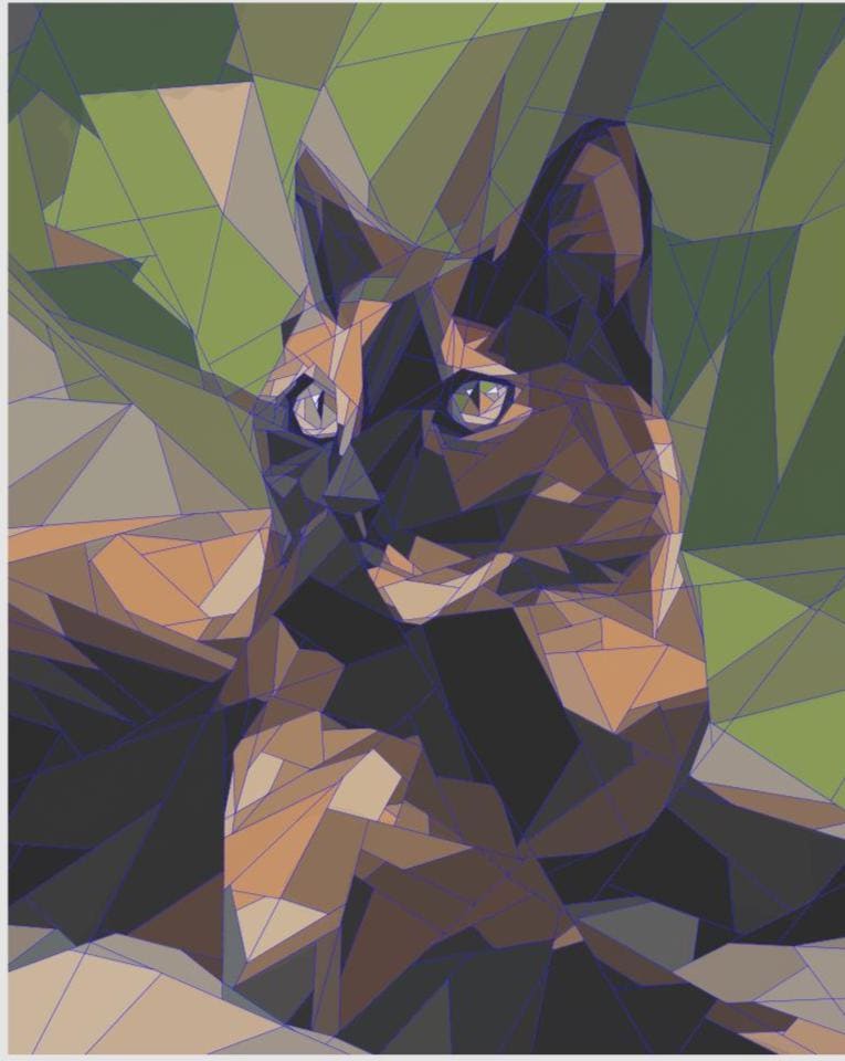 Bonkers the Tortoise Shell, 50" x 62" FPP Quilt Pattern