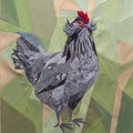 Farm Series, Araucana Hen, 20" FPP Quilt Block