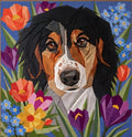 Stuart, 60"x62" Bernese Mountain Dog FPP Quilt Pattern